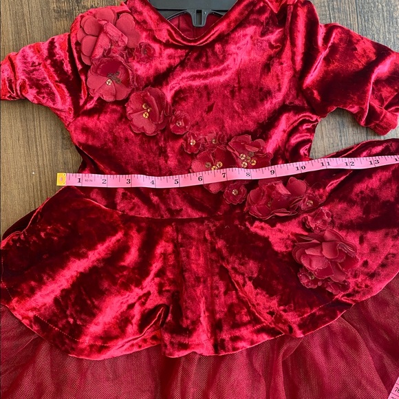 Disney belle Princess burgundy Velvet Dress - Picture 13 of 16